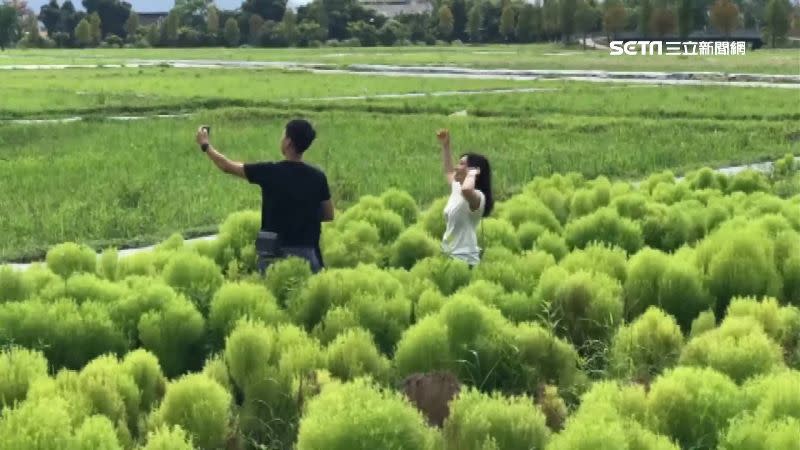 震後宜花東旅遊補助開跑。（示意圖／資料照片）