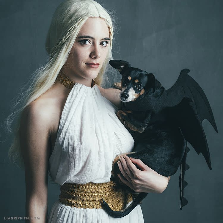 3) Dog and Owner Game of Thrones Costume