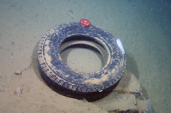 Trash Litters Deep Seafloor, Mostly Recyclables