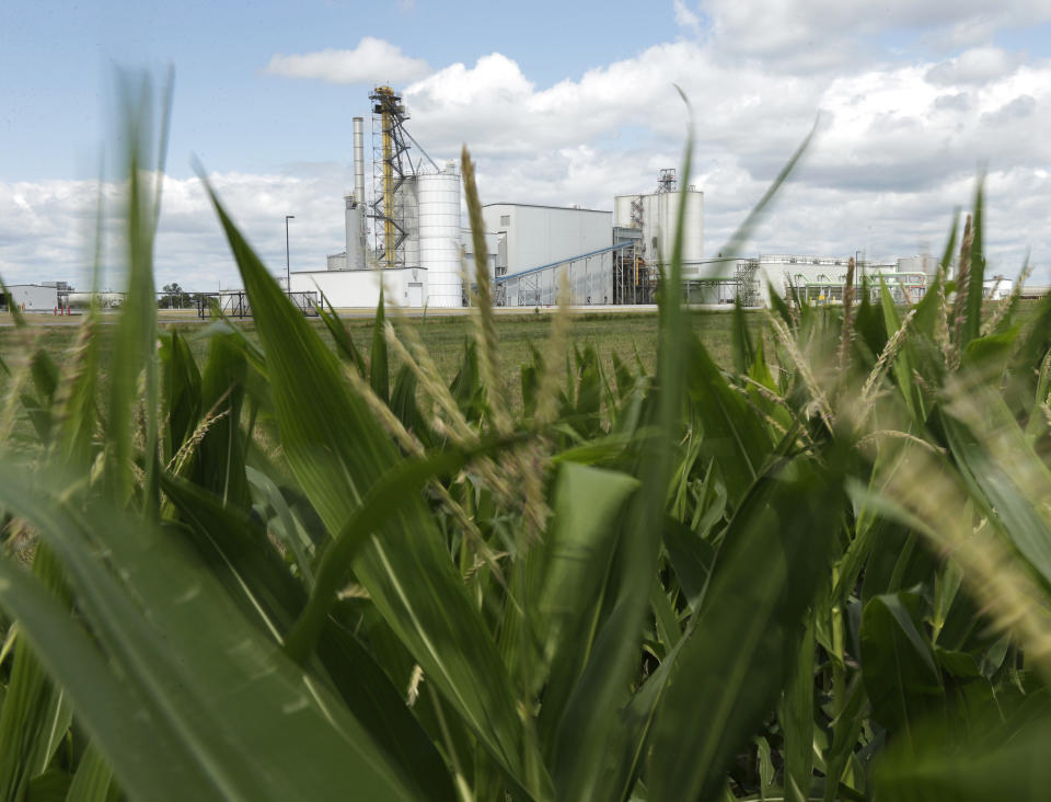 FILE - In this July 20, 2013, file photo, an ethanol plant stands next to a cornfield near Nevada, Iowa. The president and auto industry maintain the nation is on the cusp of a gigantic shift to electric vehicles and away from liquid-fueled cars, but biofuels producers and some of their supporters in Congress aren't buying it. They argue that now is the time to increase sales of ethanol and biodiesel, not abandon them. (AP Photo/Charlie Riedel, File)