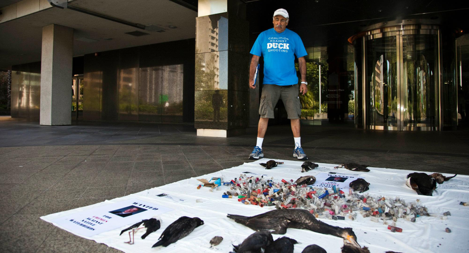 Laurie Levy stands behind an array of dead birds in from of an official looking building. 