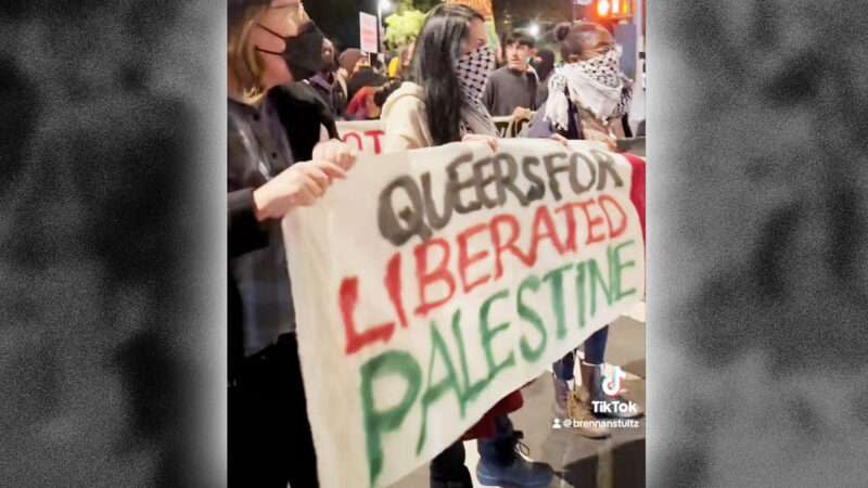 Protesters at a "Queers for Palestine" march in New York City