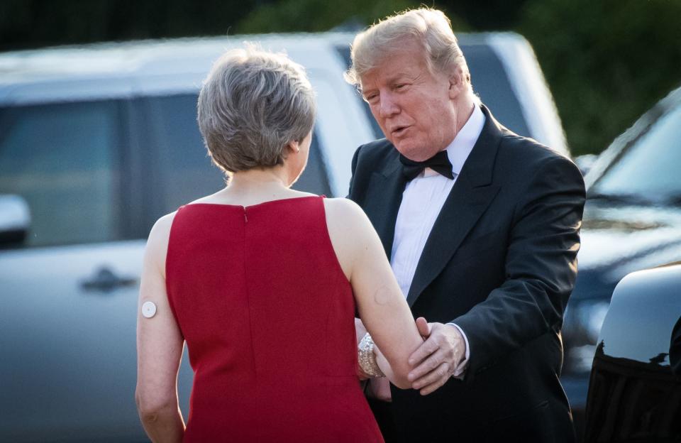 Pleased to meet you? Donald Trump and Britain’s Theresa May (Rex)
