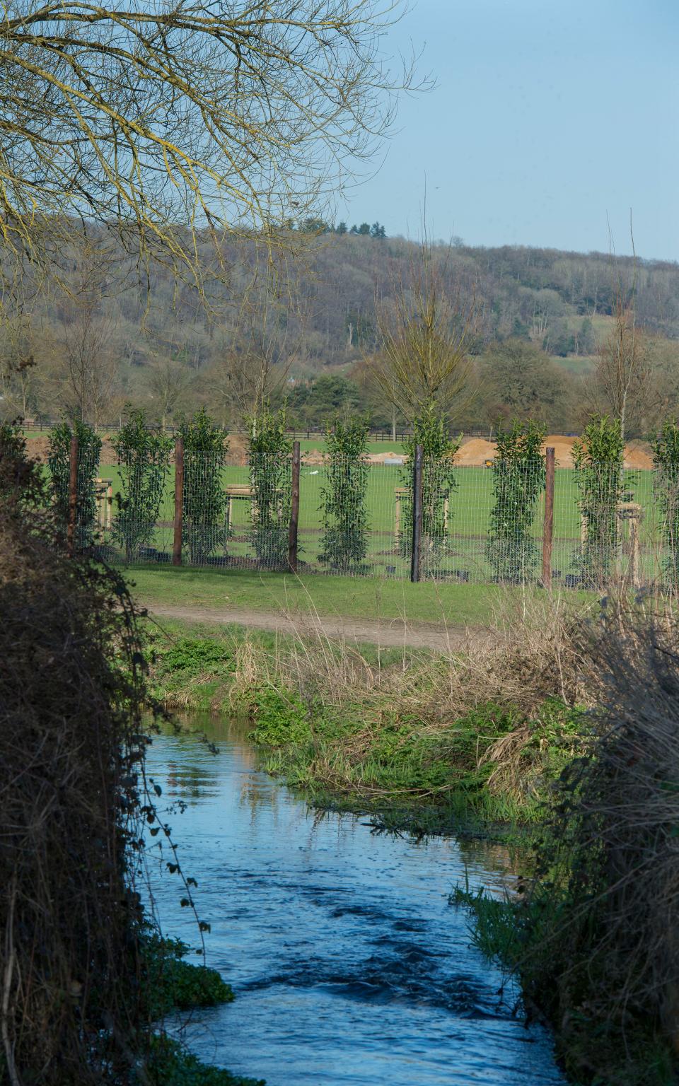 The riverbank where Mole, Rat, Toad and Badger enjoyed their adventures - Credit: JULIAN SIMMONDS