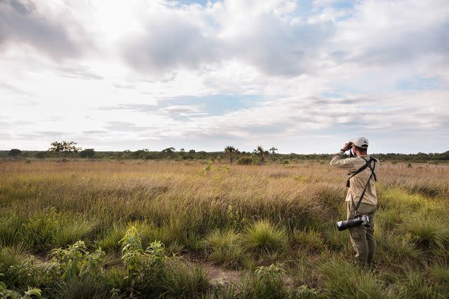 <p>Carmen Campos</p> A guide at Fazenda Trijunção preserve scans for birds in the Cerrado savanna.