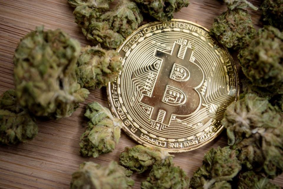 bitcoin pot stocks marijuana