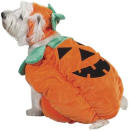 <p>Prove your pup is the pick of the patch. </p> <p><strong>Buy it!</strong> Pumpkin Pooch Costume, $34.99; <a href="https://www.amazon.com/Zack-Zoey-Pumpkin-Costume-Orange/dp/B001BL6N5S/ref=as_li_ss_tl?ie=UTF8&linkCode=ll1&tag=polifemostpopulardogcostumeskbenderoct20-20&linkId=3e2c574d362b380b7972dc7bb989faf6" rel="nofollow noopener" target="_blank" data-ylk="slk:Amazon.com;elm:context_link;itc:0;sec:content-canvas" class="link ">Amazon.com</a></p>