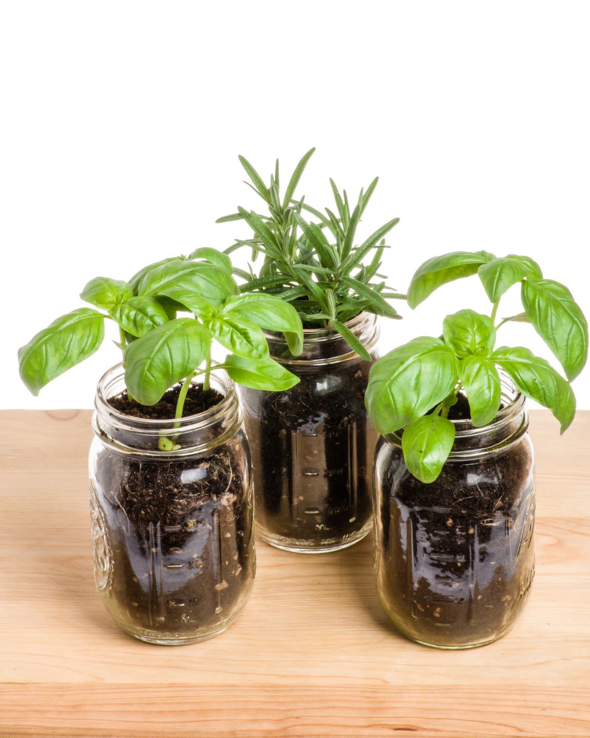 herb garden ideas mason jar herb garden