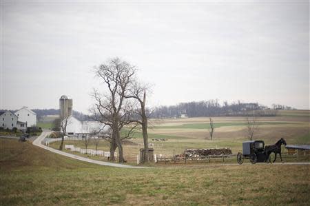 An Amish horse and buggy travels on a road in Bart Township, Pennsylvania December 1, 2013. REUTERS/Mark Makela