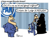 <p>Twitter: @patriciomonero / Facebook: Patricio Monero</p> 