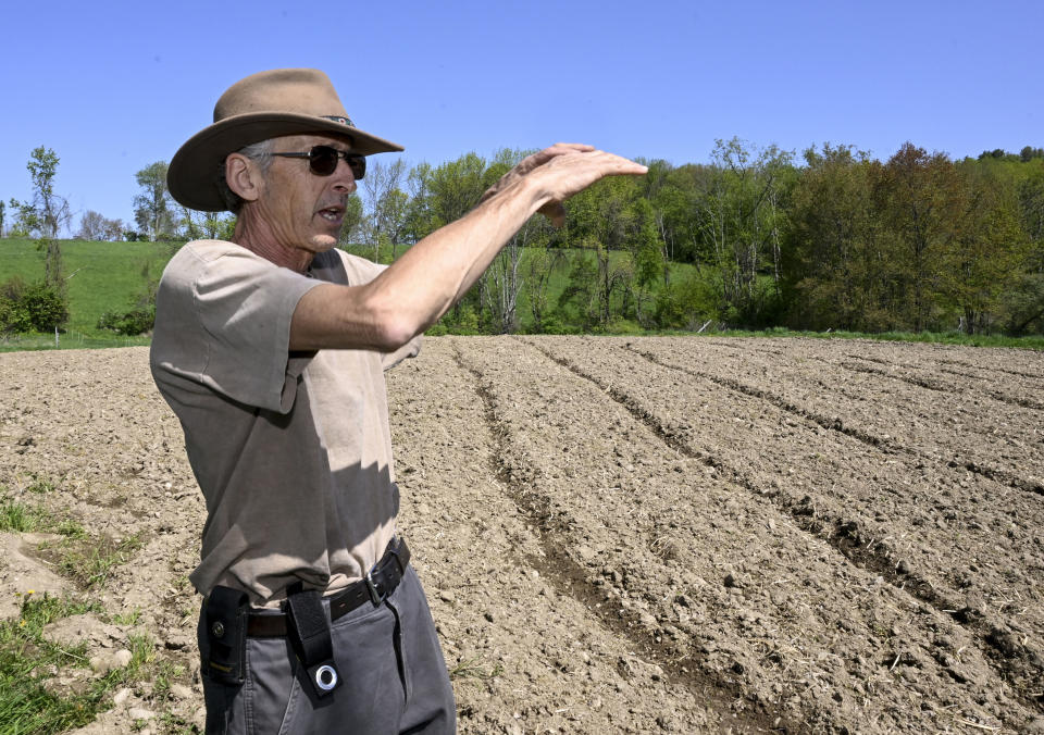 Seth Jacobs talks about his 500 pounds of marijuana he grew on his Slack Hollow farm in Argyle, N.Y., Friday, May 12, 2023. Farmers growing New York's first legal adult marijuana crop are having trouble moving product because there's only a dozen licensed dispensaries statewide to sell to. (AP Photo/Hans Pennink)