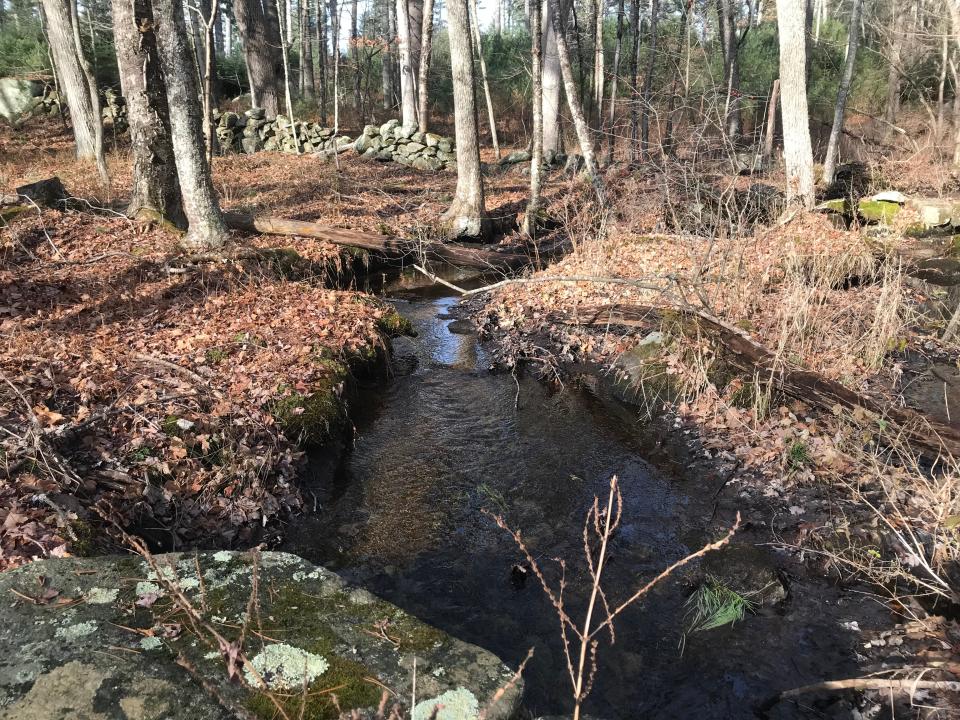 The Providence Water Supply Board monitors for pollutants in 40 streams that run across forests and old farmland before emptying into the Scituate Reservoir.