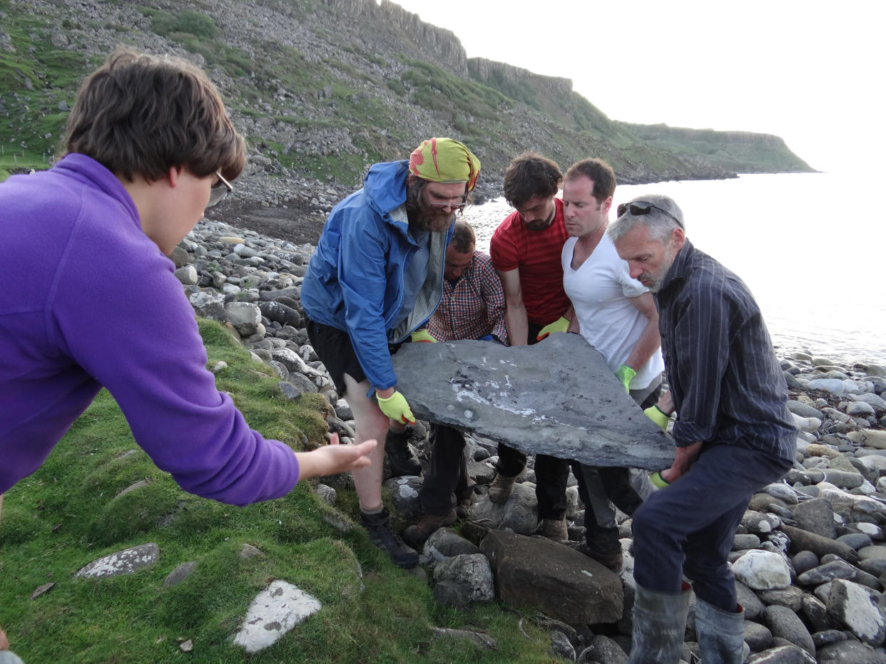 Researchers removing the skeleton from the beach. (University of Edinburgh)