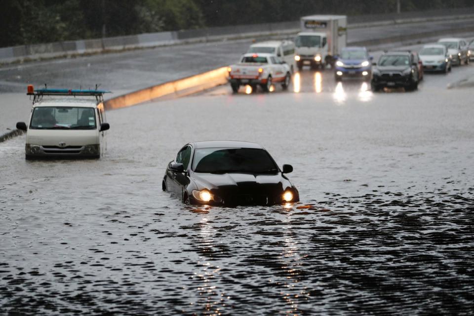 Vehicles stranded by flood water in Auckland at the weekend – and forecasters say more rain is to come (AP)