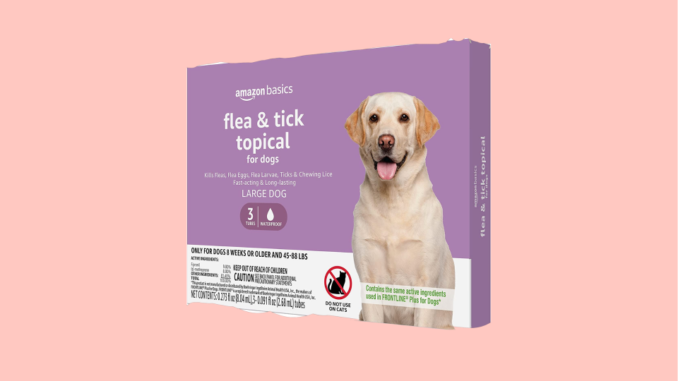 Best flea and tick protection: Amazon Basics