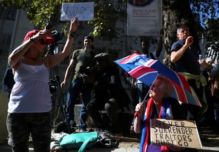 Pro-Brexit demonstrators protest outside the Supreme Court in London