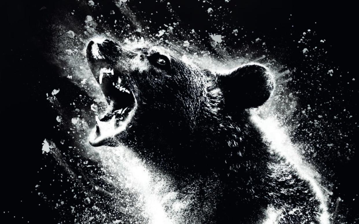 "Cocaine Bear" erzählt von einem Bären, der im Koks-Rausch zur blutrünstigen Bestie wird. (Bild: 2023 Universal Studios)