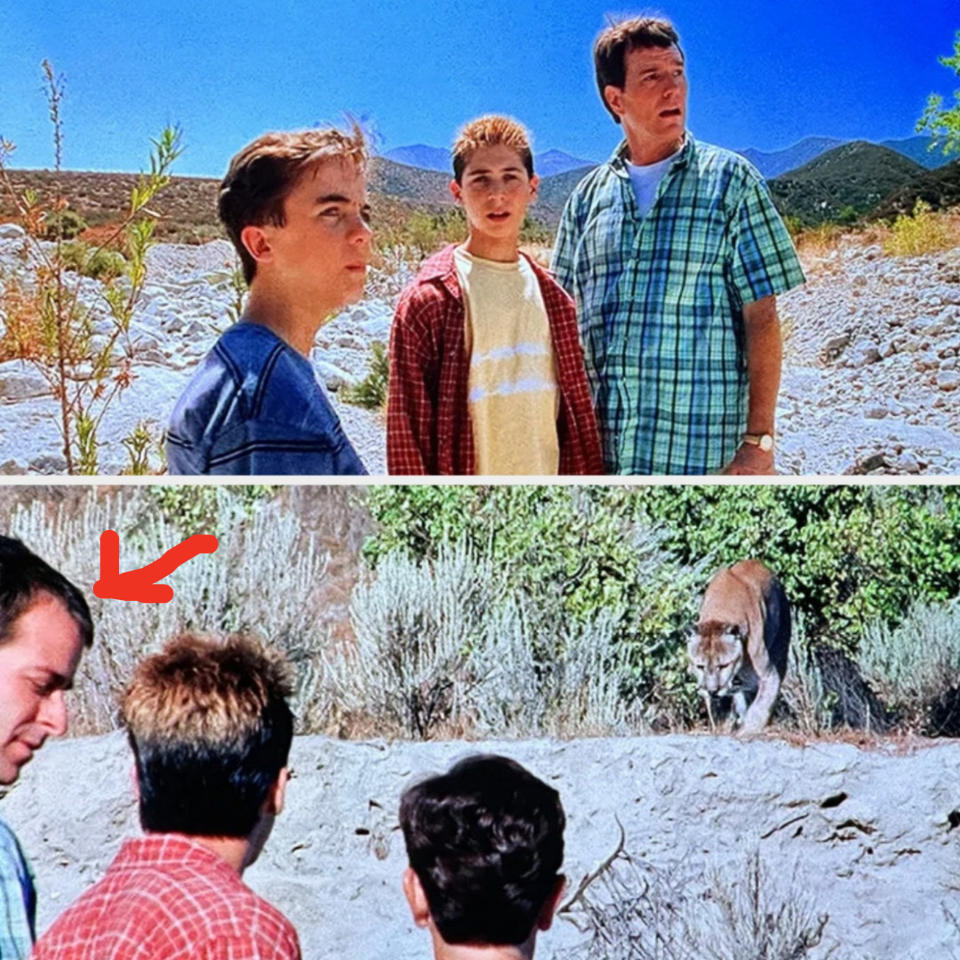 Screenshot from "Malcolm in the Middle"