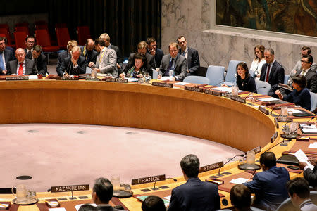 U.S. Ambassador to the United Nations Nikki Haley speaks during a United Nations Security Council meeting about implementation of sanctions against North Korea at U.N. headquarters in New York City, U.S., September 17, 2018. REUTERS/Brendan McDermid