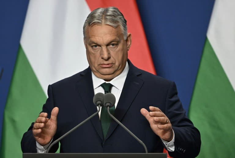 Ungarn stellt seine EU-Ratspräsidentschaft unter das Motto "Make Europe Great Again" (Macht Europa wieder großartig) - eine Anspielung auf das Wahlkampfmotto von Ex-US-Präsident Donald Trump: "Make America Great Again". (Attila KISBENEDEK)