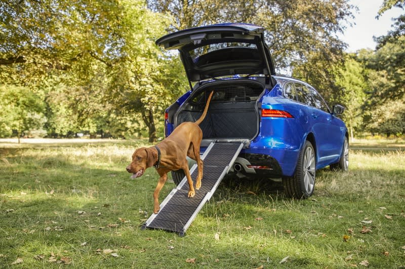 摺疊鋁質踏板讓老狗、小型犬或關節不好的狗更容易上下車。