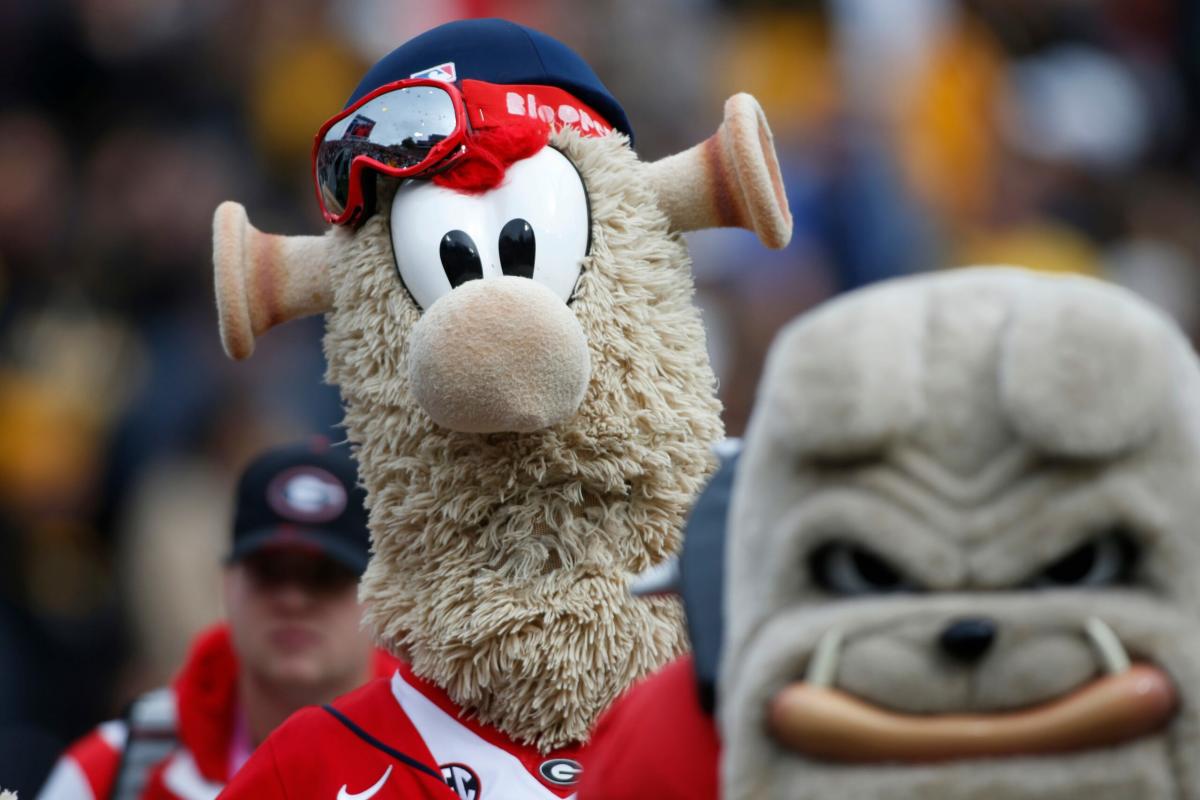 Official Mascot Georgia Bulldog and Atlanta Braves 2021 Champions