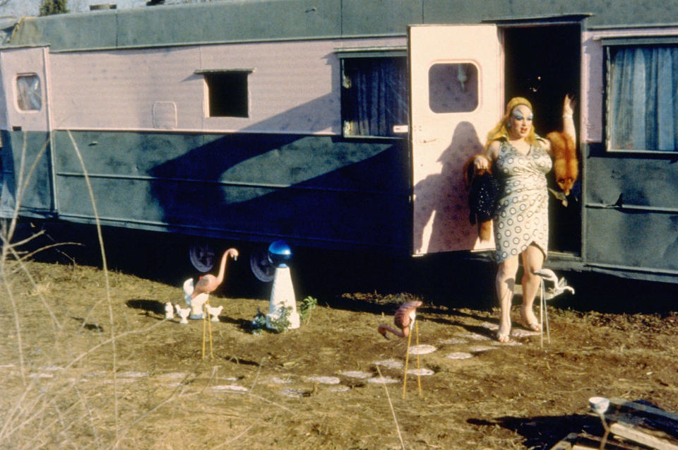 Divine in Pink Flamingos