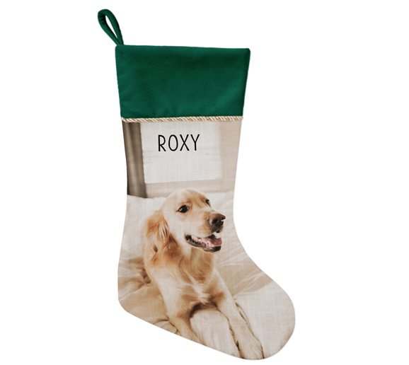 Pet Photo Christmas Stocking