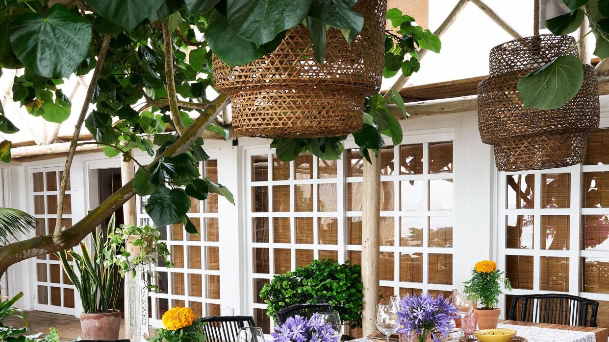 a table with chairs and plants on it