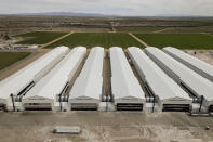 Chicken barns are seen at Hickman's Family Farm and egg-packaging operations in Tonopah, Ariz., Thursday, March 14, 2024. In many states, prisoners are denied everything from disability benefits to protections guaranteed by OSHA or state agencies that ensure safe and healthy conditions for laborers. In Arizona, for instance, the state occupational safety division doesn't have the authority to pursue cases involving inmate deaths or injuries. (AP Photo/Carolyn Kaster)