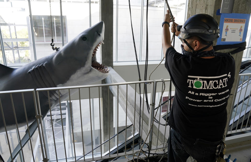 A worker helps lift a fiberglass replica of Bruce, the shark featured in Steven Spielberg's classic 1975 film "Jaws," into a suspended position for display at the new Academy of Museum of Motion Pictures, Friday, Nov. 20, 2020, in Los Angeles. The museum celebrating the art and science of movies is scheduled to open on April 30, 2021. (AP Photo/Chris Pizzello)