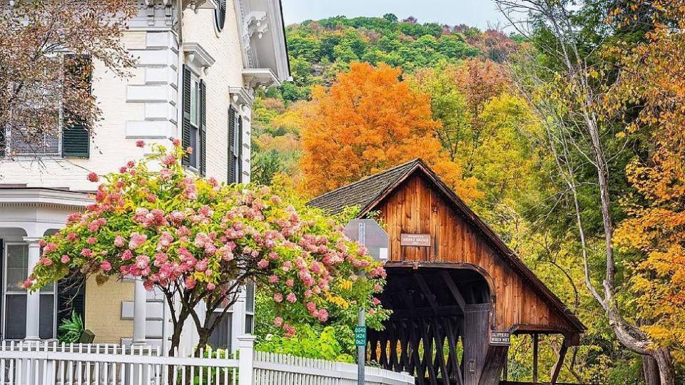 Calle en Woodstock con plantas con flores y árboles con colores otoñales  / Foto: Sean Pavone /Alamy