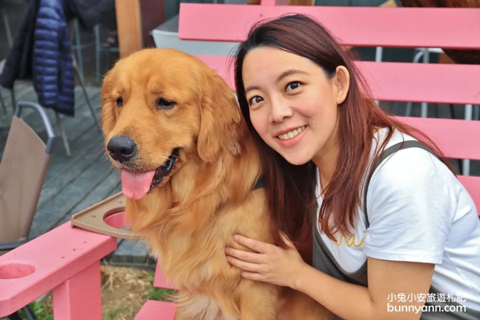 台中景點｜獵犬不打獵寵物餐廳