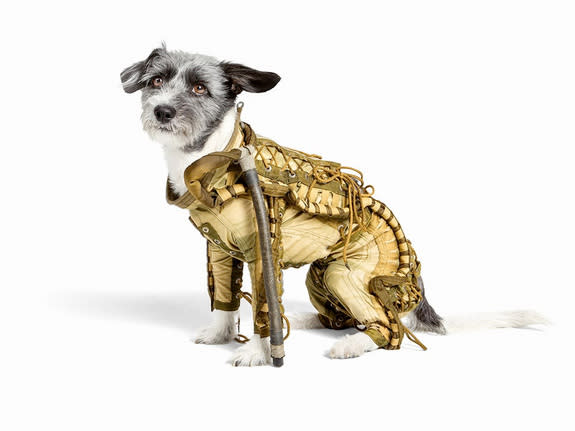 A rare Soviet pressure suit used to prepare dogs for spaceflight is among pop artist Andora's artifacts to be sold at auction on Sept. 13, 2014 in Berlin.