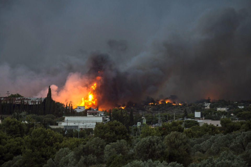 Flames rise as a wildfire burns in the town of Rafina, near Athens (Picture: Getty)