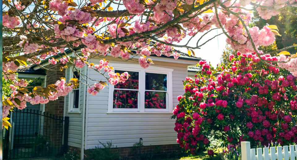 A granny flat extension on a home with flowers in the foreground.