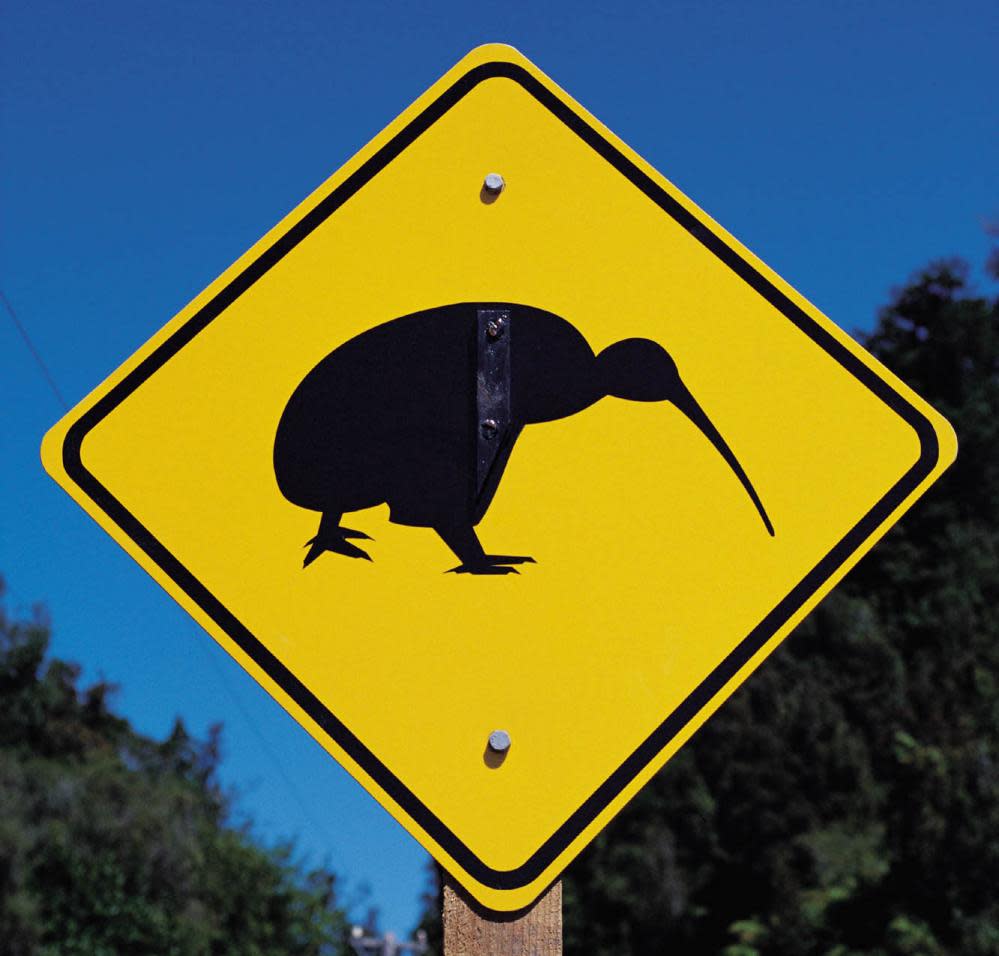 A New Zealand road sign cautions drivers to be alert for kiwis, a flightless native bird.