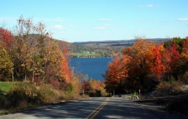 Visit the Finger Lake in Autumn to see the leaves change colour.