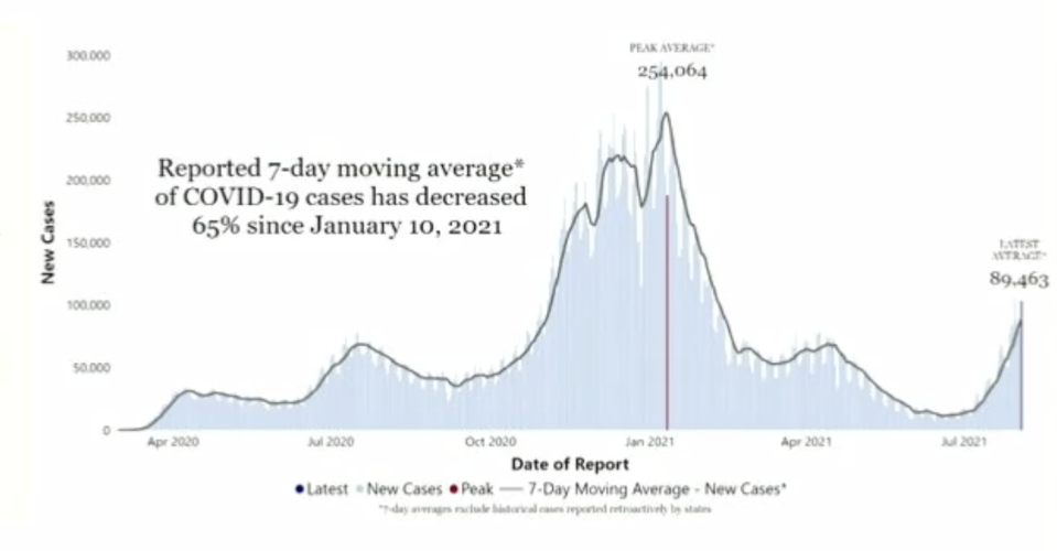 Chart showing the daily change in U.S. Covid-19 cases throughout the pandemic. - Credit: CDC