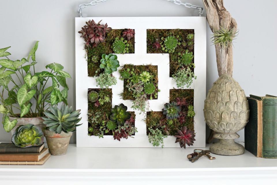 Turn Succulents Into Wall Art