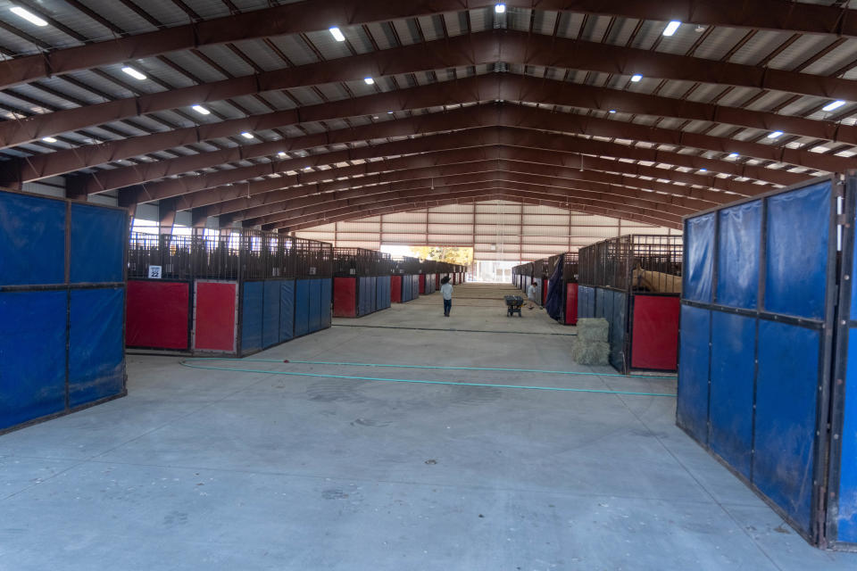 About 290 stalls for horses are set up in the Pavilion at the Santa Fe Depot to house animals for the WRCA Rodeo which has events through Sunday.