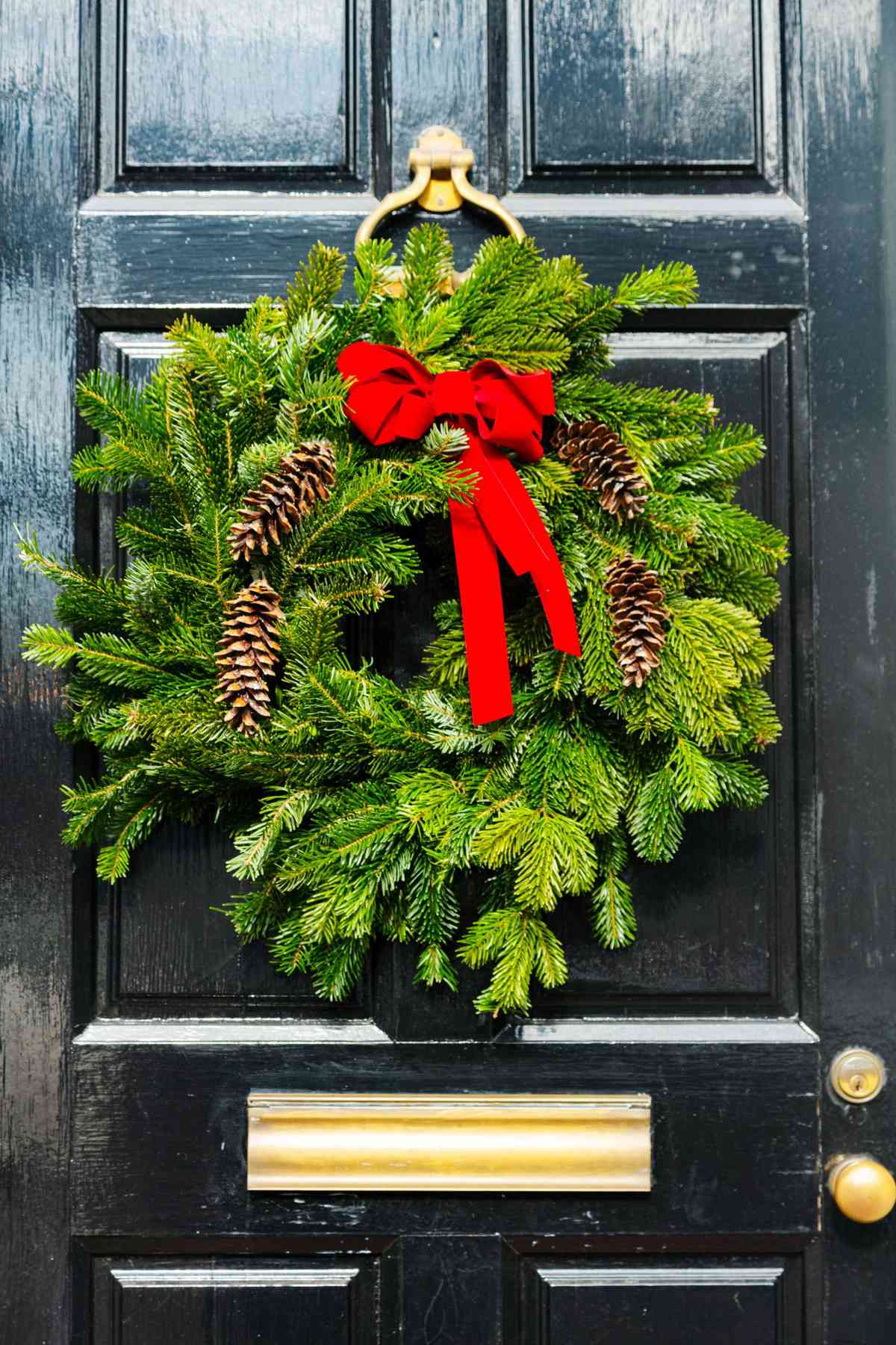 Front Door Wreath in Alexandria, VA