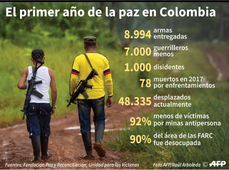 Principales cifras del primer año tras la firma del acuerdo de paz entre el gobierno colombiano y la guerrilla de las FARC.