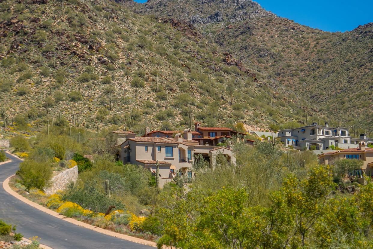 Homes at the base of a hill with cacti on the hill behind them