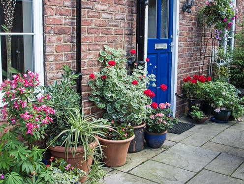 <span class="caption">Over a year, the addition of plants caused a 6% decrease in stress levels.</span> <span class="attribution"><a class="link " href="https://www.shutterstock.com/image-photo/front-house-door-uk-pots-planters-756400696" rel="nofollow noopener" target="_blank" data-ylk="slk:Jeanie333/ Shutterstock;elm:context_link;itc:0;sec:content-canvas">Jeanie333/ Shutterstock</a></span>