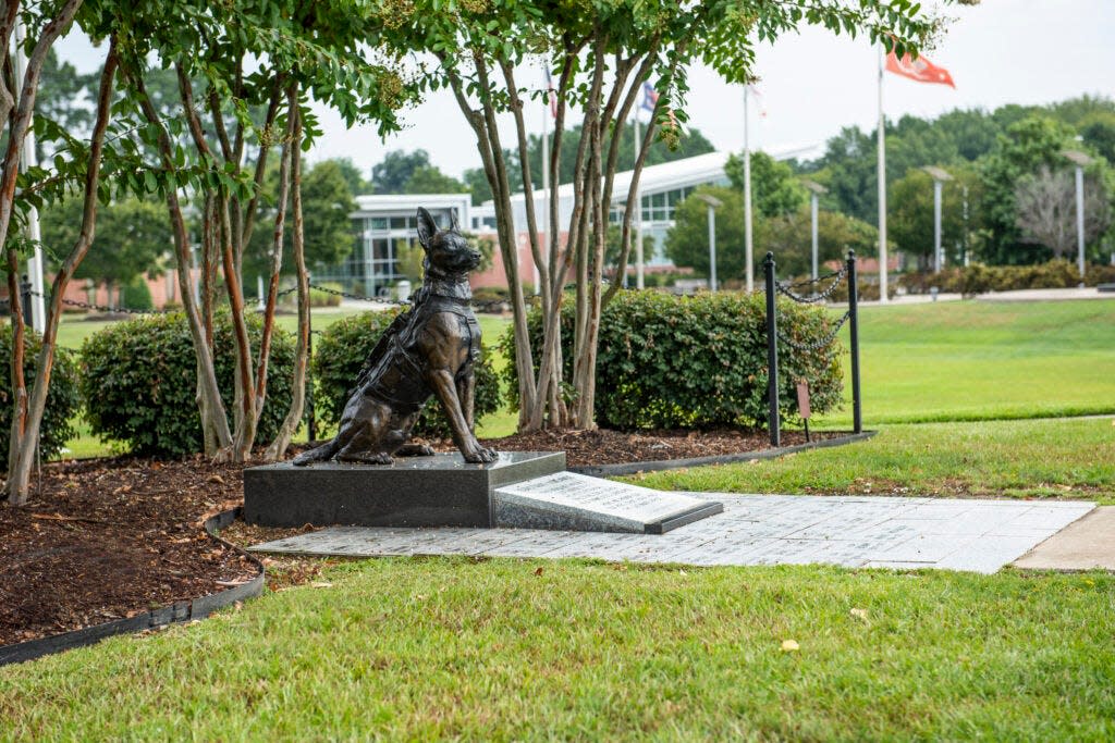 The U.S. Army Airborne and Special Operations Museum in Fayetteville, North Carolina, is honoring Figo, a military working dog, with a paver memorial ceremony Saturday, May 4, 2024.