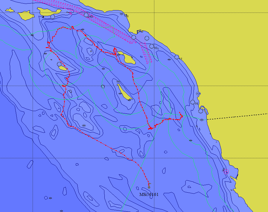 Map of the fin whale's movement as of Jan. 12, 2024 after it was pushed back out into the ocean. The red line shows where the buoy recorded the whale. (Courtesy of NOAA Fisheries Office of Protected Resources)