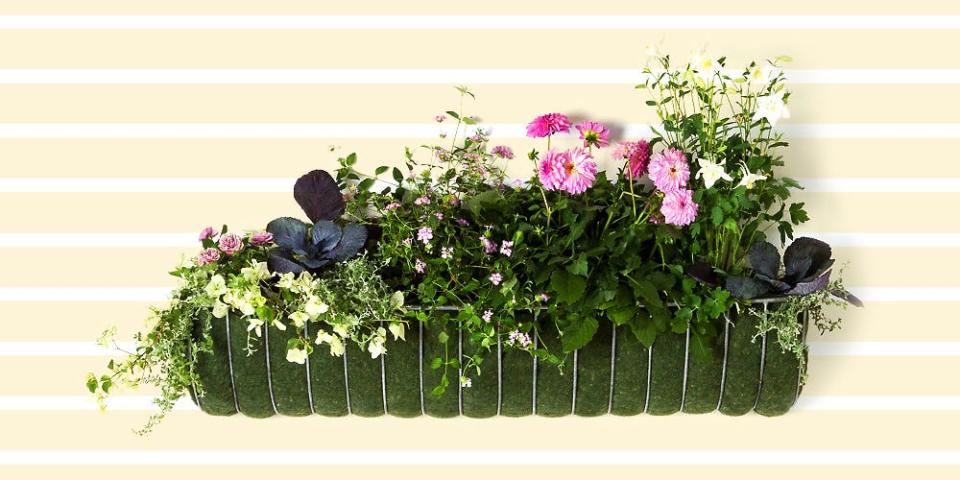 These 11 Window Boxes Keep Sills Perennially in Bloom