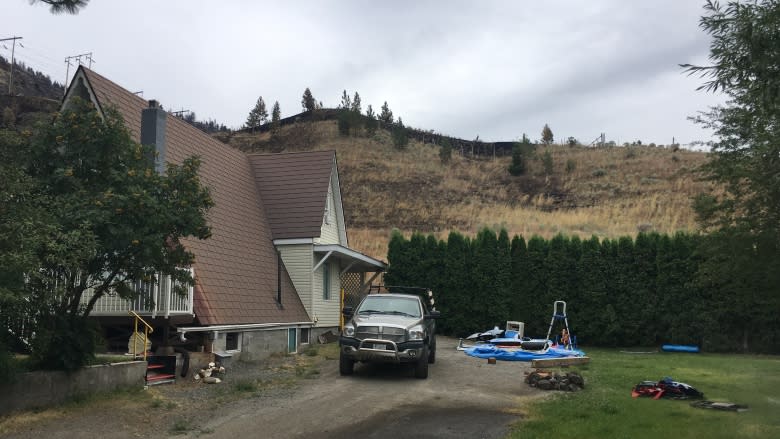 'Happiness, it's all fine:' B.C. residents rejoice after wildfire close call