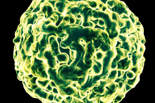 Close up 3d render of an norovirus like micro organism isolated on black.